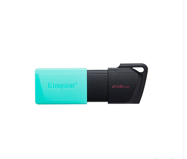 Memoria USB 256GB